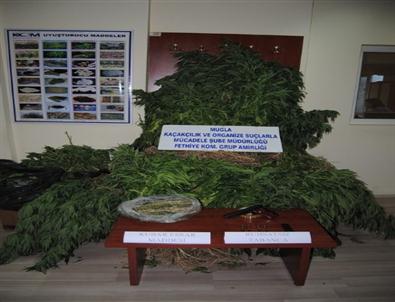 Seydikemer'de Uyuşturucu Operasyonu