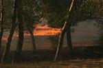 Yozgat’ta Anız Yangını Fidanlık Alanlara Sıçradı