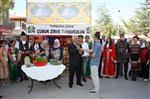 9. Uluslararası Çubuk Turşu ve Kültür Festivali Renkli Görüntülerle Başladı