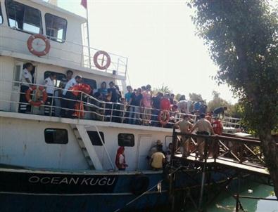 Antalya’da 250 Mülteci Yakalandı