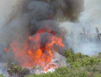 Antalya'da Orman Yangını