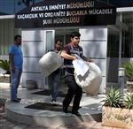 Antalya’da Uyuşturucu Operasyonu: 9 Gözaltı