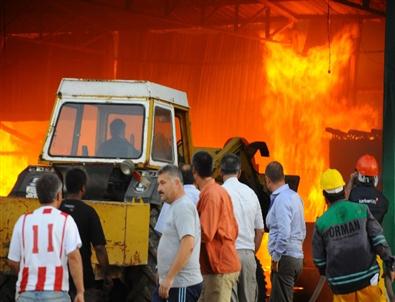 Muğla’da Kereste Fabrikasında Yangın