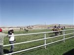 Eskişehir'de ‘2013 Sonbahar Mahalli At Yarışları’ Başladı