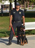 ROTTWEİLER - Gözlüklü Polis Köpeği 'şimon' İlgi Odağı Oldu