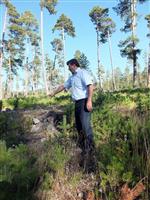 Koyulhisar Orman İşletme Müdürlüğü Çalışmalara Devam Ediyor