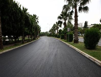 Büyükşehir Belediyesi Refüj Düzenleme ve Ağaçlandırma Çalışması Başlattı