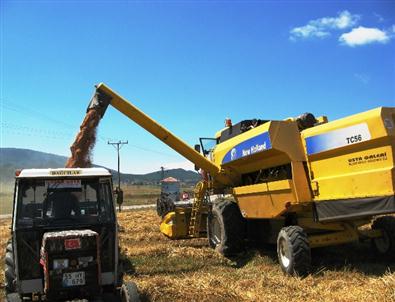 Biçerdöverle Buğday Hasadı Sona Erdi