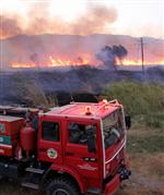 ZEYTINLI - Edremit'te Sazlık Yangını