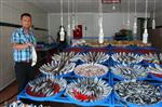 Aksaray'da Balık Fiyatları Arttı