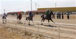 YARIŞ ATI - Konya’da 21. Geleneksel Mahalli At Yarışları Başladı