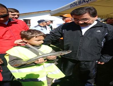 Mogan’da Oltalar En Büyük Sazan İçin Atıldı