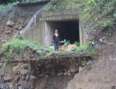 Rize’de Şiddetli Yağış Hasara Yol Açtı