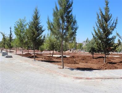 Sarıçam'a 6,5 Dönümlük Park