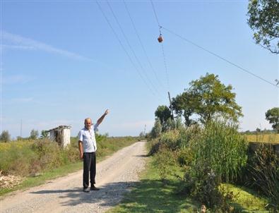 Elektrik Tellerinin Birbirine Çarpmasını Önlemek İçin İlginç Yöntem