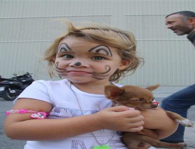 Sevimli Dostlar Gün Sayıyor