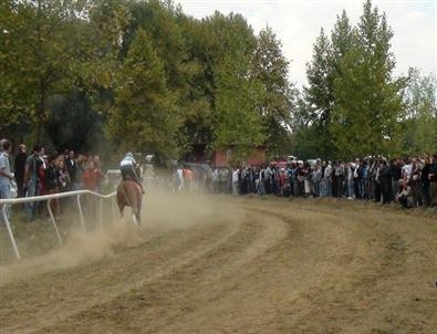 Seyircilerin Arasına Dalan At Üç Kişiyi Yaraladı