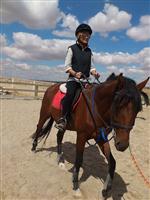 Hastane Çalışanlarına Hipoterapi Eğitimi