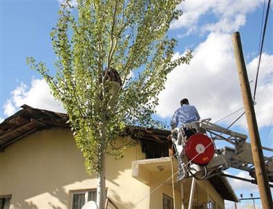 Ağaçta Elektrik Akımına Kapılan Vatandaşı İtfaiye Ekipleri Kurtardı