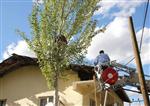 YÜKSEK GERİLİM HATTI - Ağaçta Elektrik Akımına Kapılan Vatandaşı İtfaiye Ekipleri Kurtardı
