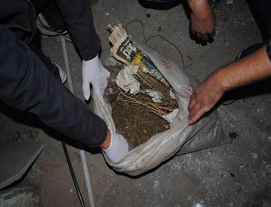 Uyuşturucuları 'levies'Buldu