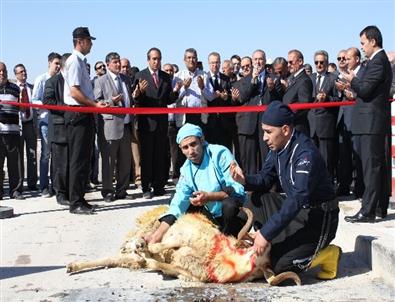 Konya ve Çumra Şeker’de Pancar Alımı Başladı