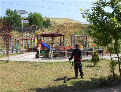 İzmit'te Tırpan Sezonu Sona Eriyor