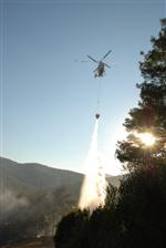 Kavaklıderede Orman Yangını