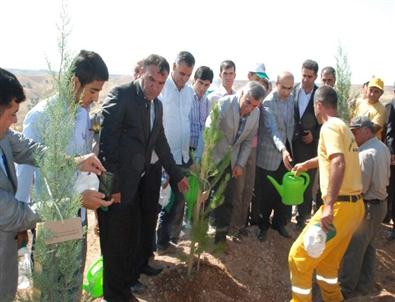 Yeşil Adıyaman İçin Ağaçlandırma Çalışmaları Başladı