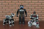 ROBOTLAR - Bilgisayar Dersleri Robotlarla Veriliyor