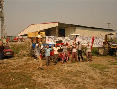 Çiftçiler Mazot Zammını ve Mısır Fiyatlarını Protesto Etti