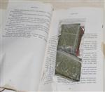 Roman Arasında Uyuşturucu Sevkiyatı