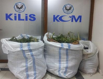 Baba İle Oğlu Esrardan Tutuklandı