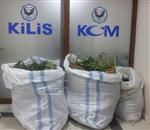 Baba İle Oğlu Esrardan Tutuklandı