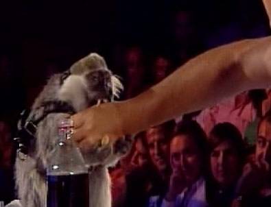 Maymun Hüsnü Acun Ilıcalı'nın Elini Isırdı