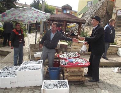 Tezgahlarda Hamsi Bolluğu