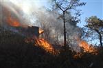 ÇAYıRBAŞı - Sarıyer'de Orman Yangını