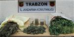 ÇUKURÇAYıR - Trabzon'da Uyuşturucu Operasyonu
