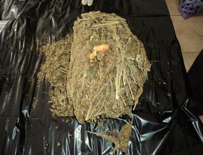 Yolcu Otobüsünde 1 Kilo 750 Gram Esrar Ele Geçirildi