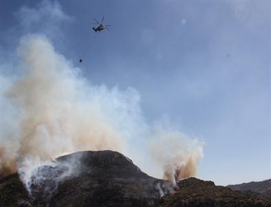 Hatay'da Orman Yangını