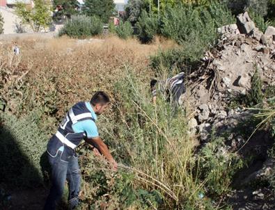 Pasinler’de Hint Keneviri Operasyonu