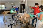 Sokak Hayvanlarına Tam Teşekküllü Muayene
