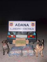 KAÇAK MAZOT - Adana'da Uyuşturucu ve Kaçakçılık Operasyonları