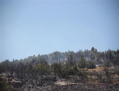 Korkuteli’de 1 Hektarlık Makilik Alan Kül Oldu