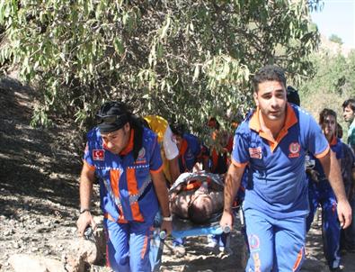 Van Gölü’nde Can Pazarı