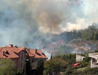Beykoz’da orman yangını
