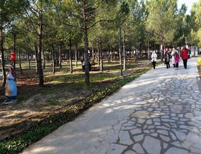 Nilüfer, Büyükşehir İle Nefes Alıyor