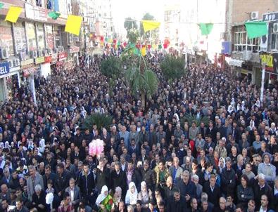 Tahliye Olan Bdp'li Vekiller Kızıltepe'de