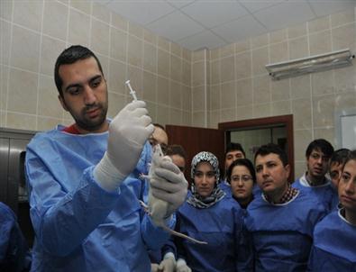 Akü’de Gerçekleştirilen Deney Hayvanları Kullanımı Kursu Sona Erdi