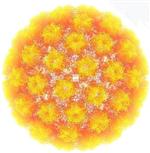 VAJINA - Her 4 Kişiden 3’ünde Hpv Virüsü Görülüyor